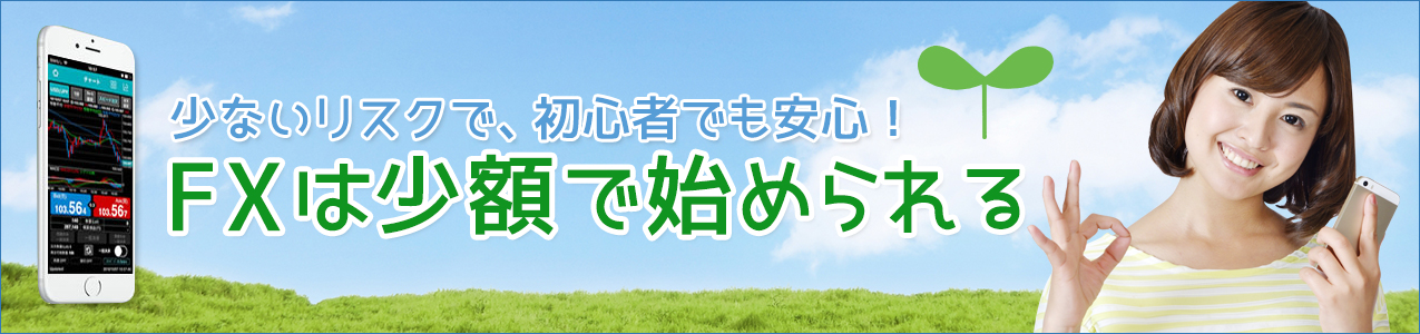 少額ランキング<!-- small-ranking -->